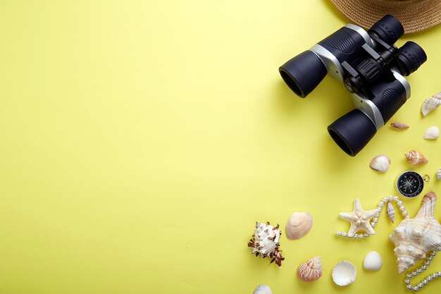 Vista dell&#39;angolo alto dei Seashells dal binocolo e dai gioielli sopra giallo