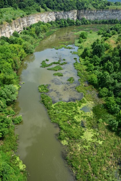 Vista dell'ex fiume, che è diventato una palude sui lati ricoperta di erba e alberi