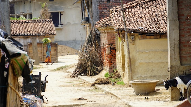 Vista dell'immagine del villaggio del Bihar