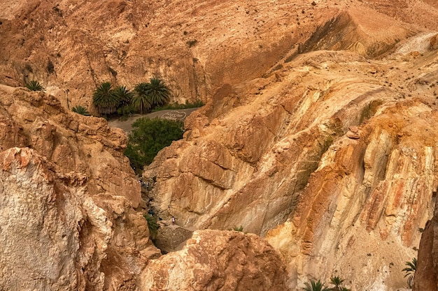 Vista dell'oasi di montagna di shebika nel mezzo del deserto del sahara tunisia