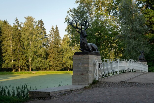 Vista dell'Oleniy Deer Bridge nel complesso del Palazzo e del Parco di Pavlovsk in una soleggiata giornata estiva Pavlovsk San Pietroburgo Russia