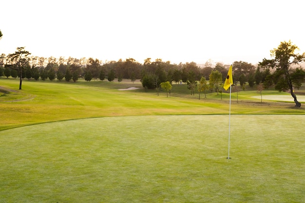 Vista della bandiera da golf in buca in mezzo a un paesaggio erboso contro gli alberi e il cielo limpido durante il tramonto