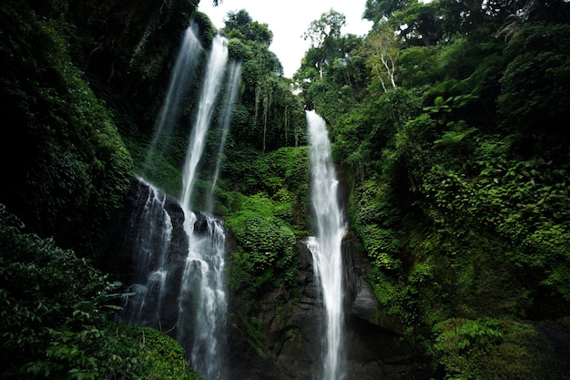 Vista della cascata della cascata della giungla nella foresta pluviale tropicale