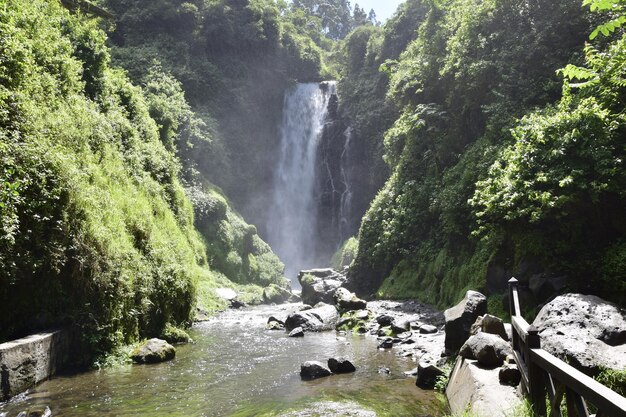 Vista della cascata di Peguche in montagna È circondata da una foresta verde piena di vegetazione Ecuador