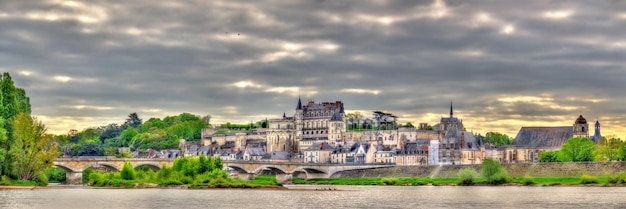 Vista della città di Amboise con il castello e il fiume Loira. Francia.