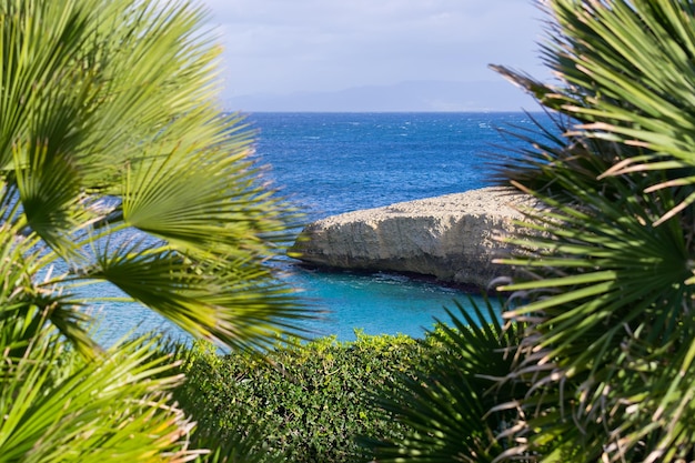 Vista della costa di Balai attraverso due palme