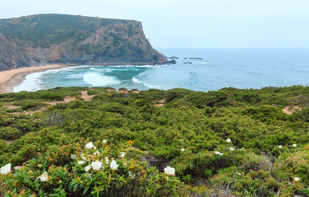 Vista della costa rocciosa atlantica di fioritura estiva Aljezur Algarve Costa Vicentina ad ovest del Portogallo