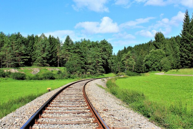 Vista della ferrovia lungo gli alberi