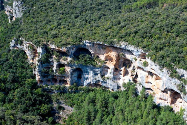 Vista della foresta e delle talee della sierra di guara spagna