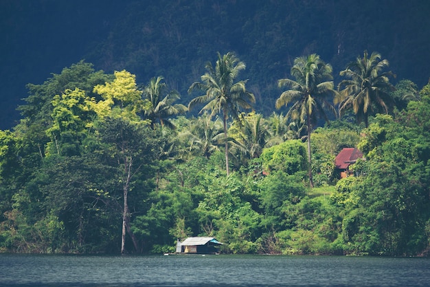 Vista della foresta tropicale con lago, Thailandia