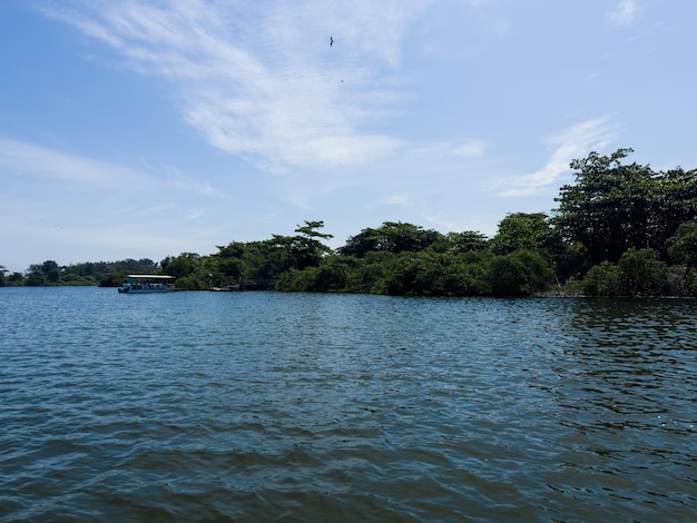 Vista della laguna di Marapendi con edifici sullo sfondo e vegetazione e alberi circostanti Colline sullo sfondo Situato vicino a Praia da Reserva a Rio de Janeiro