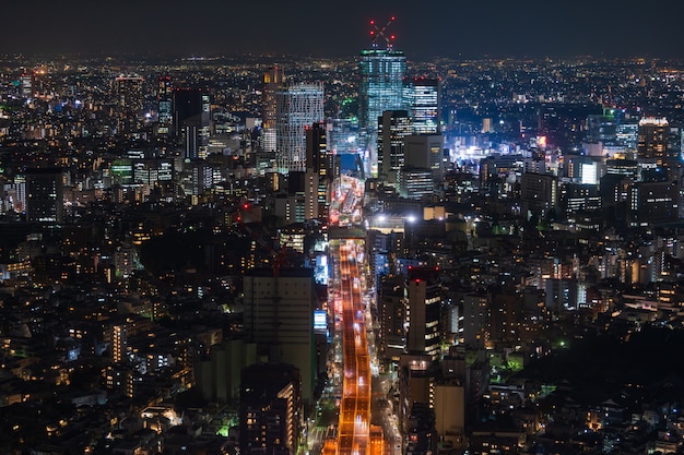 Vista della Metropolitan Expressway n.3 Shibuya Line e città, Tokyo, Giappone