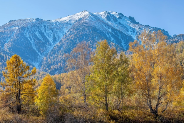 Vista della natura autunnale Cime e foreste innevate