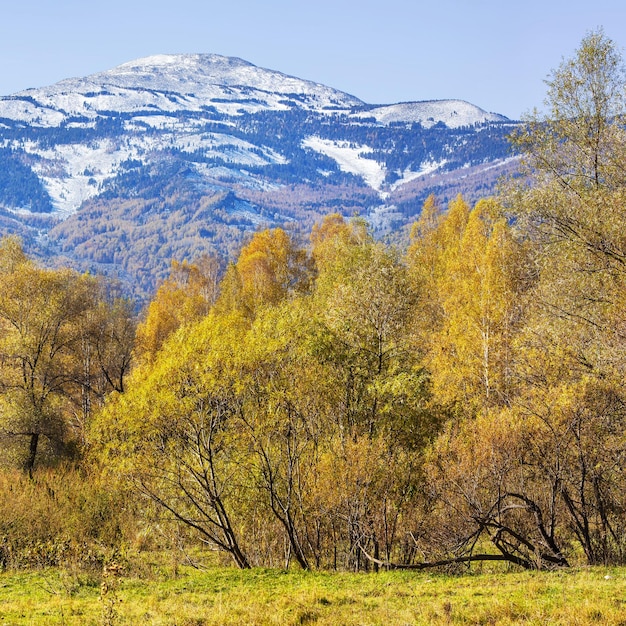 Vista della natura autunnale Cime e foreste innevate