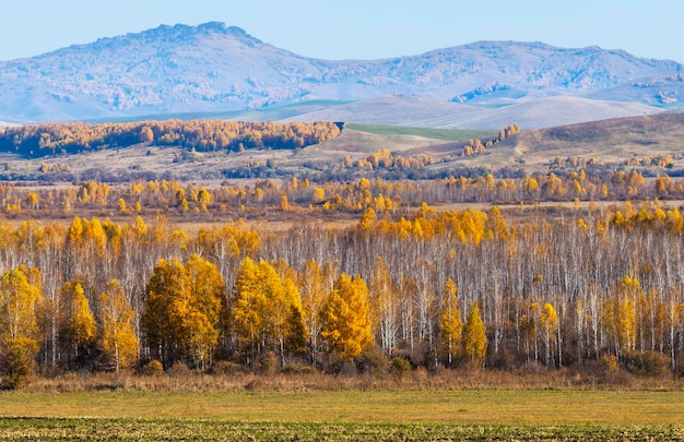 Vista della natura autunnale