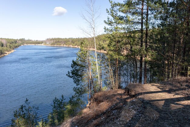 Vista della natura con acqua blu e riva sabbiosa tra alberi verdi sullo sfondo del cielo blu