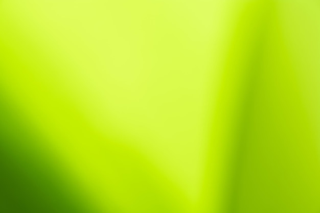 Vista della natura sfumata della foglia verde su sfondo verde sfocato in giardino con spazio di copia utilizzando come sfondo piante verdi naturali paesaggio ecologia carta da parati fresca