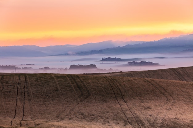 Vista della nebbia di mattina su terreno coltivabile in Toscana, Italia