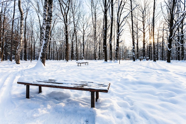 Vista della panchina innevata nel parco urbano in inverno