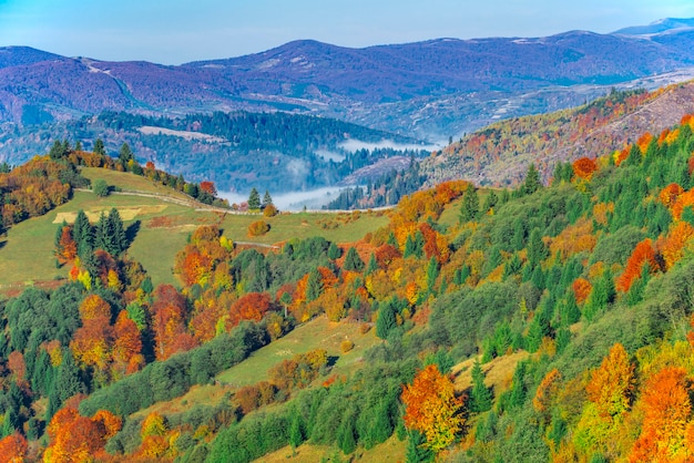 Vista della pittoresca valle di montagna con cielo blu sullo sfondo. Magnifici altopiani con alberi colorati