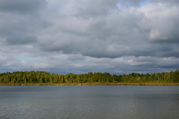 Vista della riva del lago in autunno Paesaggio autunnale foresta lago nuvoloso cielo piovoso