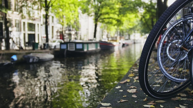 Vista della ruota della bicicletta sul canale di Amsterdam, giornata di sole, Paesi Bassi