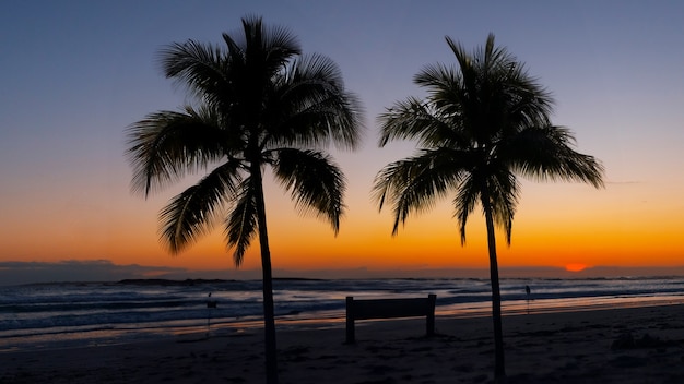 Vista della spiaggia con il tramonto e le palme