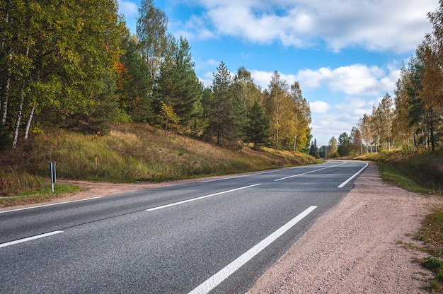 Vista della strada autostrada in autunno. Sfondo di viaggio. Autostrada asfaltata che passa attraverso la foresta. Lettonia. Baltico.