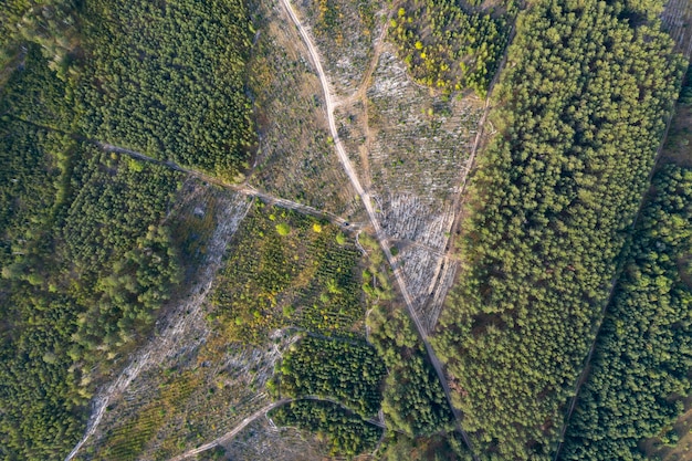 vista della strada di campagna dall'alto ripresa del drone