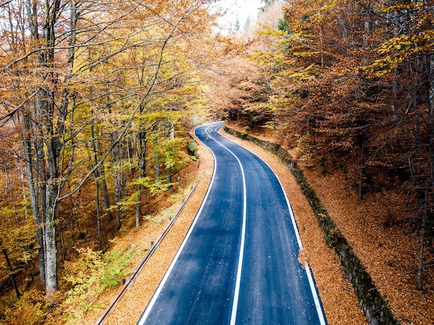 Vista della strada in mezzo agli alberi durante l'autunno