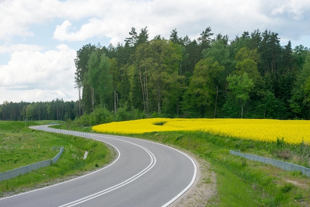 Vista della strada sullo sfondo di un campo di colza giallo con un cielo blu con nuvole bianche