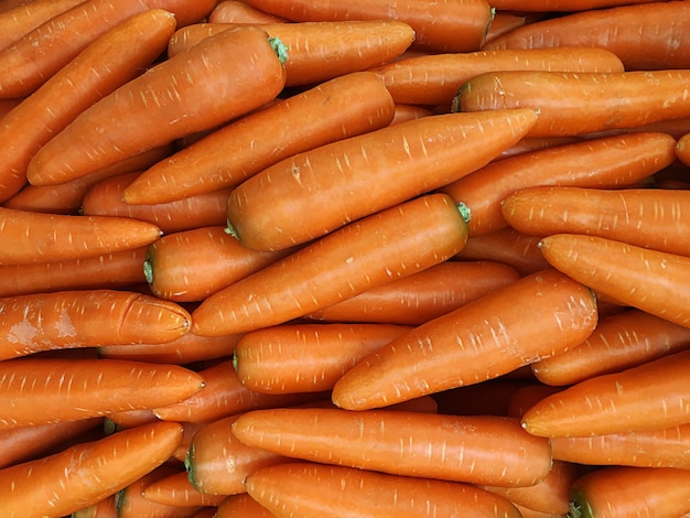 Vista della trama della carota