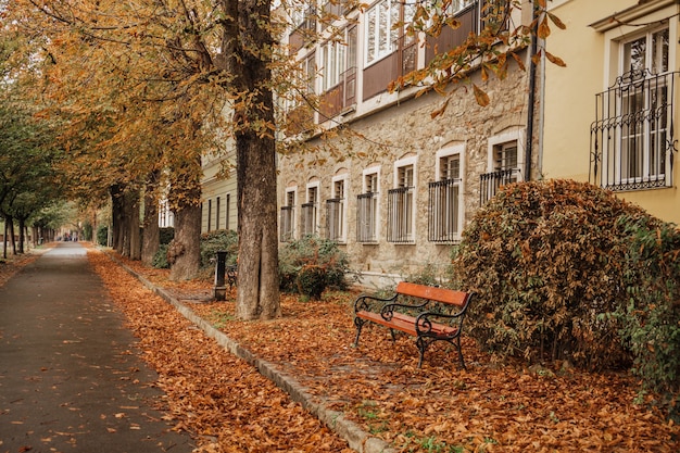 Vista della tranquilla strada commerciale vuota con foglie d'autunno sul lato