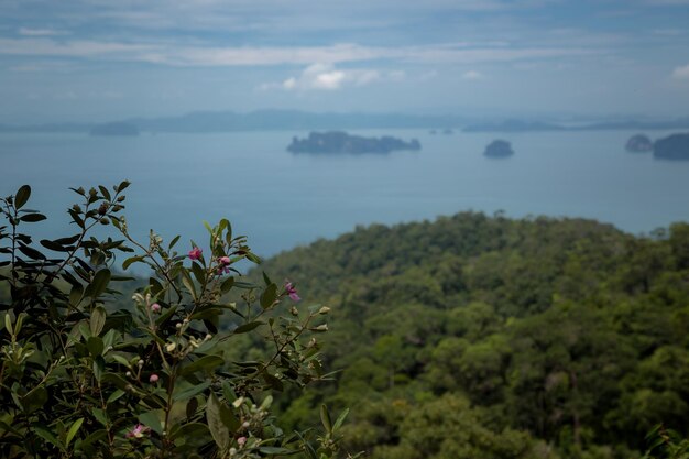 Vista della valle e delle isole e montagne del Mare delle Andamane dal punto di vista Krabi Thailandia