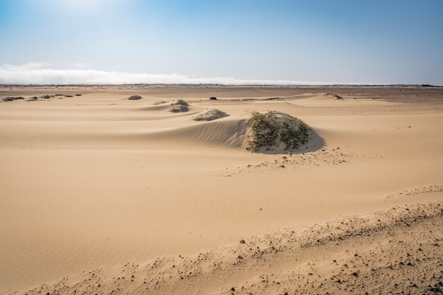 Vista delle dune del deserto di Skeleton Coast in Namibia in Africa.