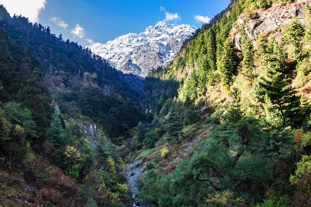 Vista delle maestose montagne del Nepal dalla cintura forestale