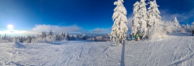 Vista delle montagne carpatiche ucraine innevate copia spazio