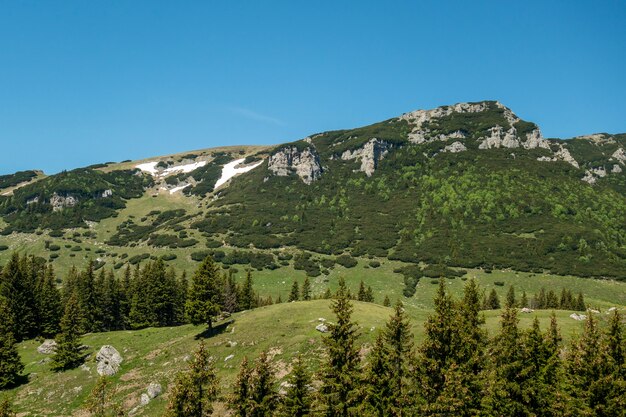 Vista delle montagne di Bucegi, parco nazionale di Bucegi, Romania, chiaro cielo blu, giorno di estate soleggiato