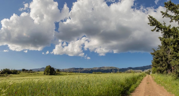 Vista delle montagne e del cielo della foresta del prato con le nuvole sull'isola greca di Evia in Grecia