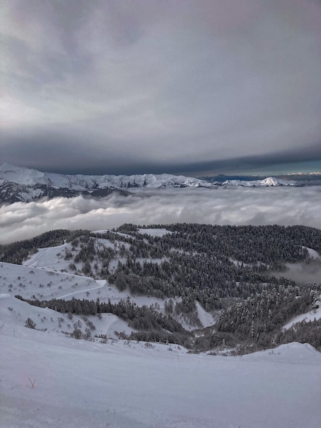 Vista delle montagne e della foresta tra le nuvole da un'altezza