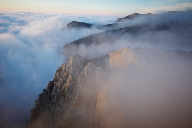 Vista delle montagne nebbiose della nebbia - oscilli con l'albero di pino