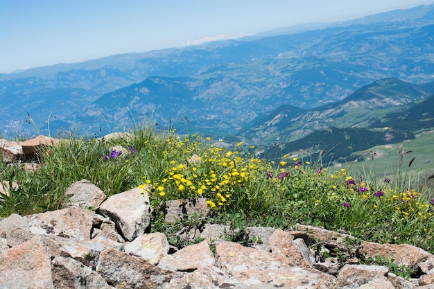 Vista delle montagne negli altopiani di Artvin in Turchia