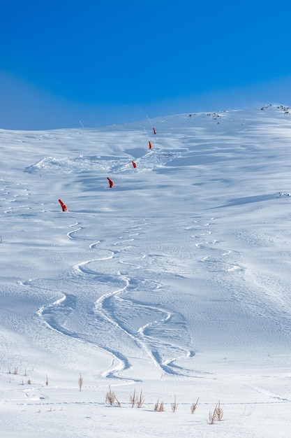 Vista delle piste da sci nella neve. Tracce lasciate dagli sciatori nella neve.