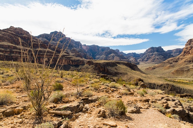 vista delle scogliere del Grand Canyon e del deserto