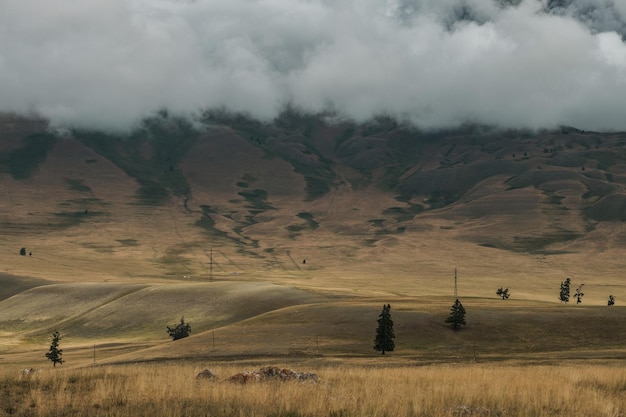 Vista delle steppe di Kurai nei Monti Altai