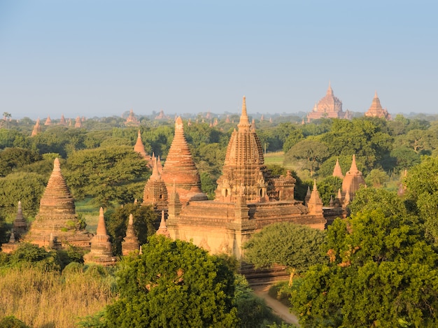 Vista delle tempie antiche in Bagan, Myanmar