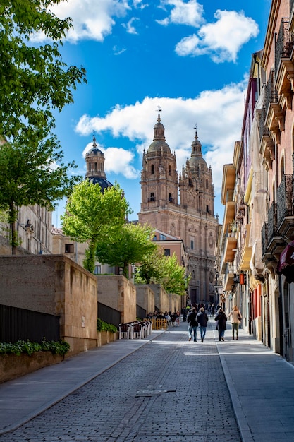 Vista delle torri Clerecia da via Palominos a Salamanca