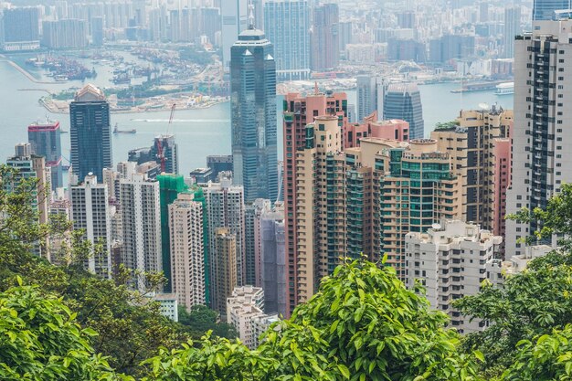 Vista dello skyline di Hong Kong dal Victoria Peak