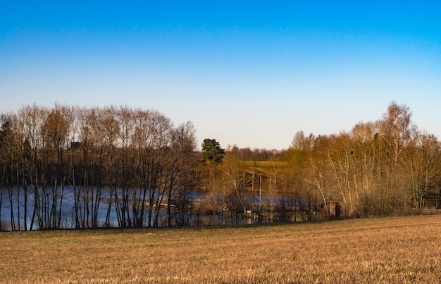 Vista dello stagno attraverso gli alberi all'inizio della mattina di primavera con cieli azzurri