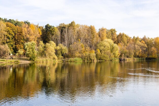 Vista dello stagno con alberi gialli sulla riva in autunno